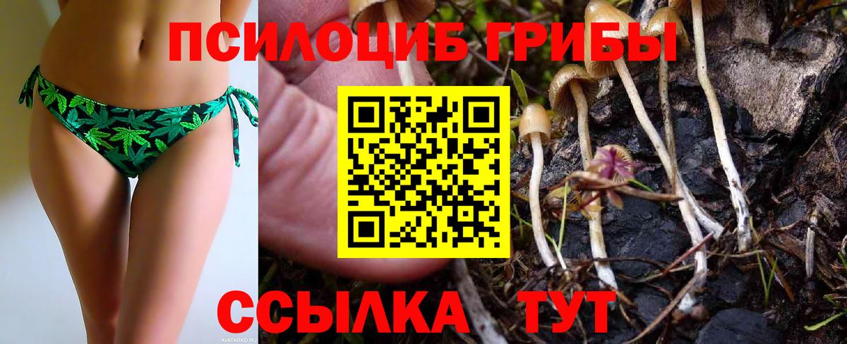 Галлюциногенные грибы прущие грибы  Вход с VPN  купить наркотики цена  Псилоцибиновые грибы Cubensis  Верхняя Салда 