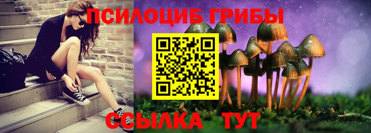 Галлюциногенные грибы прущие грибы Верхняя Салда
